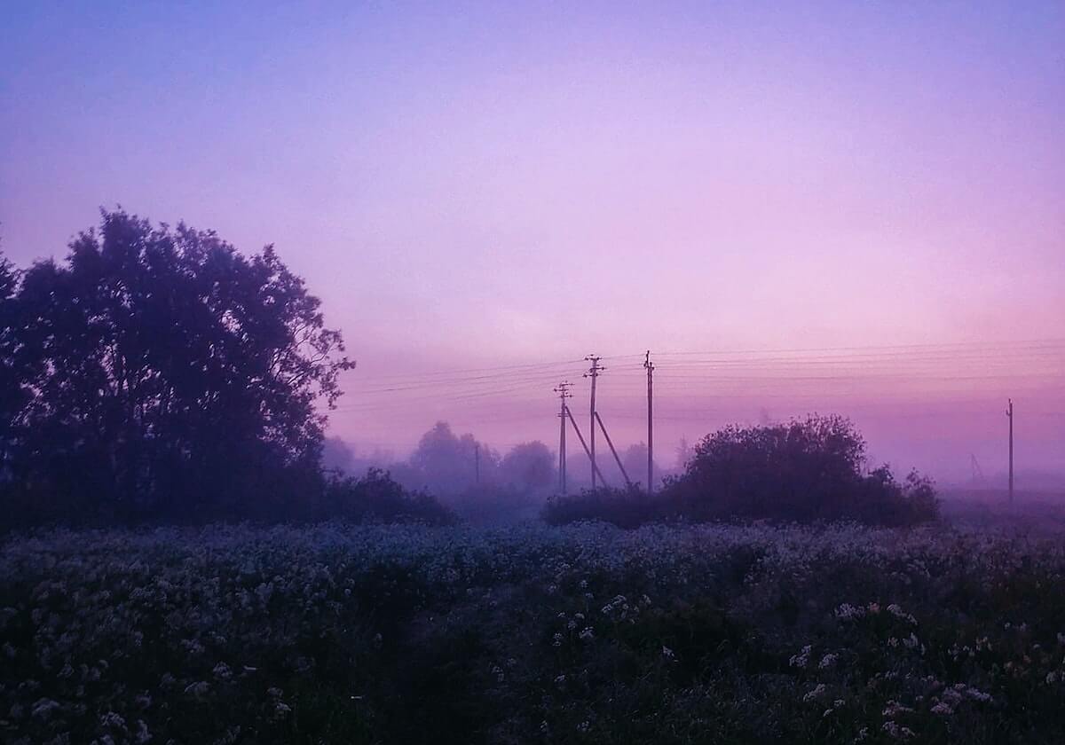 你可能没注意：搜索“今日黑料官网”的人，往往卡在同一个坑——名誉侵权风险