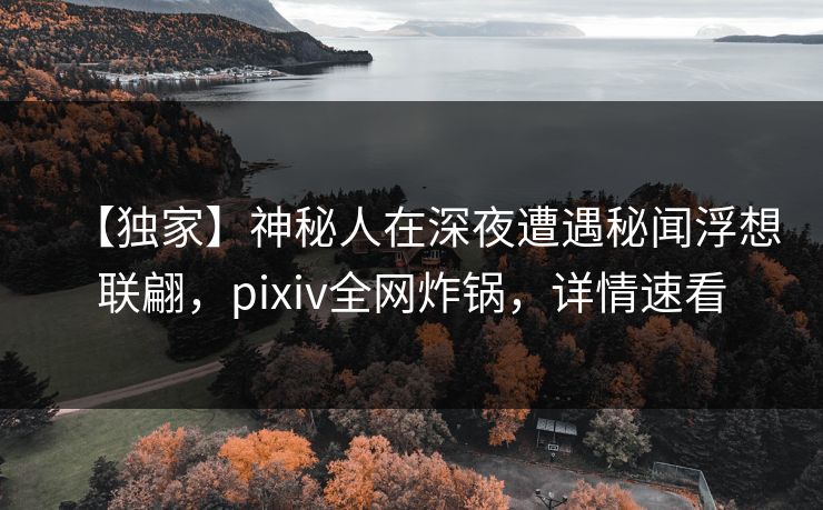【独家】神秘人在深夜遭遇秘闻浮想联翩，pixiv全网炸锅，详情速看