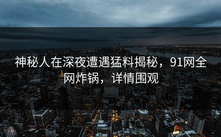 神秘人在深夜遭遇猛料揭秘，91网全网炸锅，详情围观