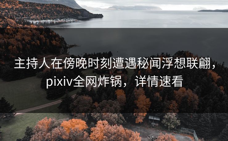 主持人在傍晚时刻遭遇秘闻浮想联翩，pixiv全网炸锅，详情速看